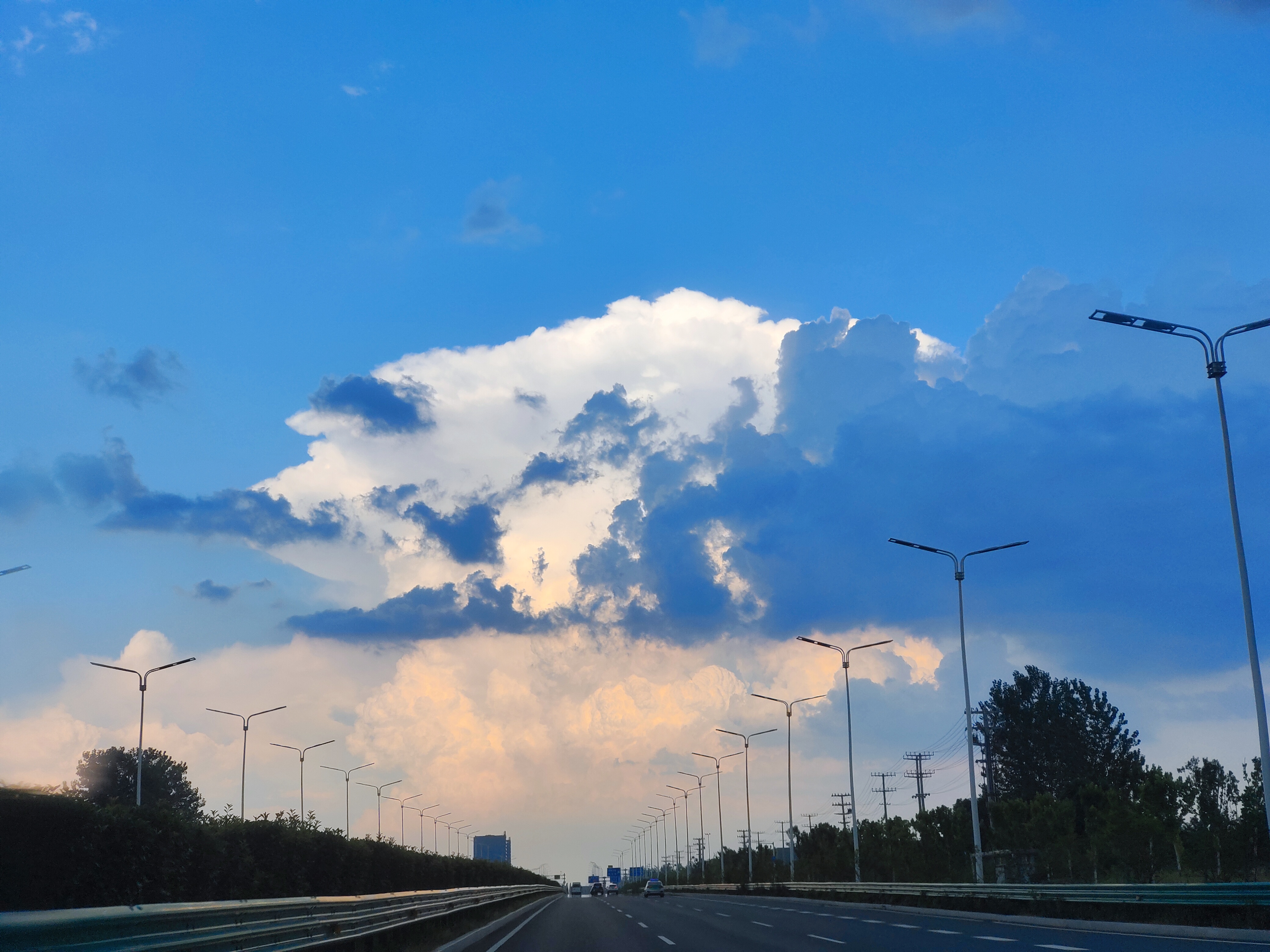 24.8.6 雨后所摄